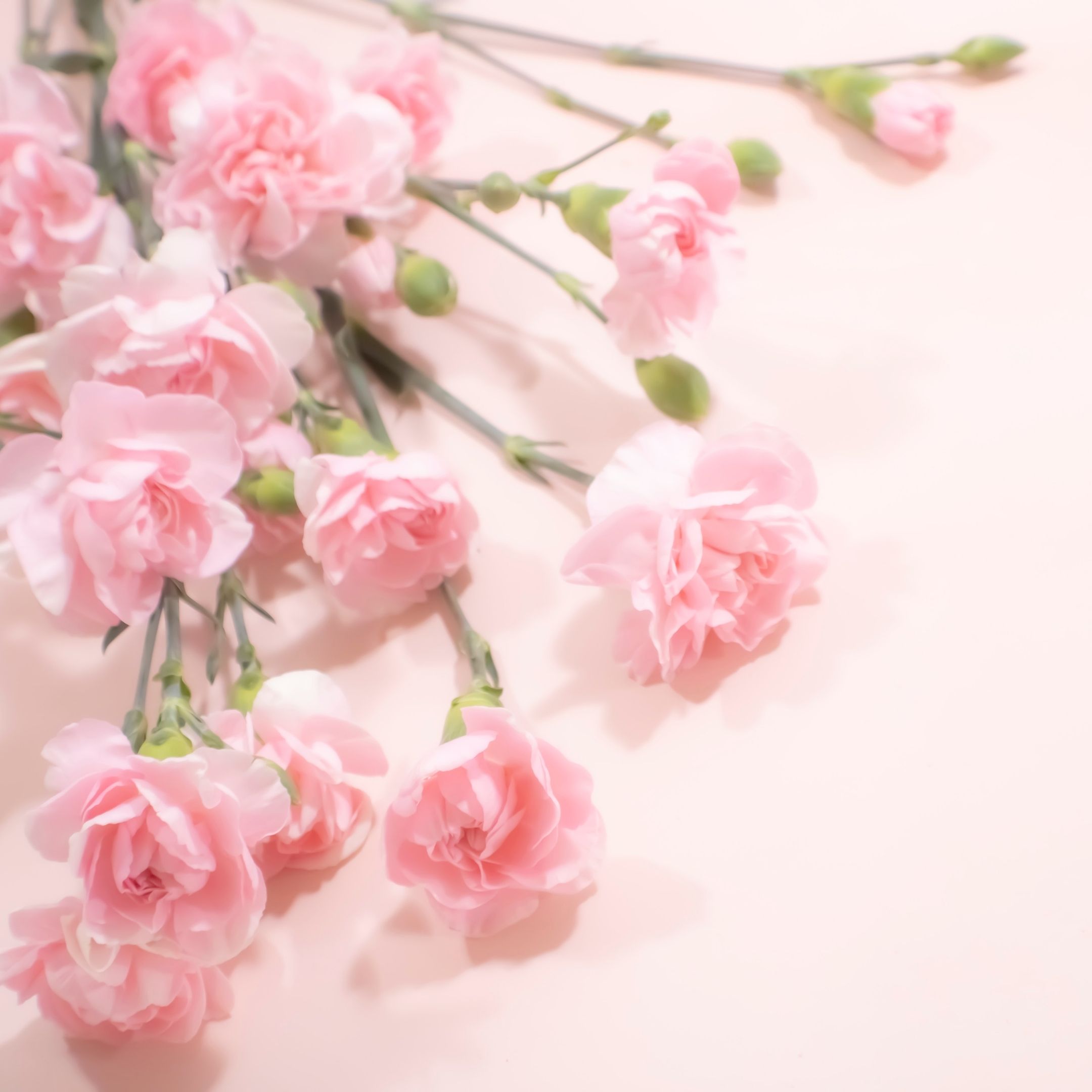 Pretty in Pink